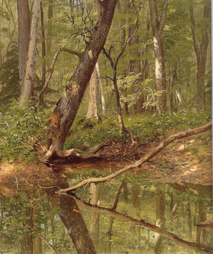 Forest Pool by Frederic Church (1860)