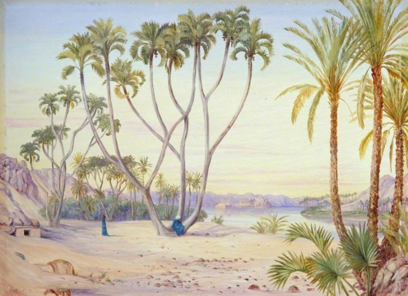 Doum and Date Palms on the Nile above Philae, Egypt by Marianne North (c. 1880)