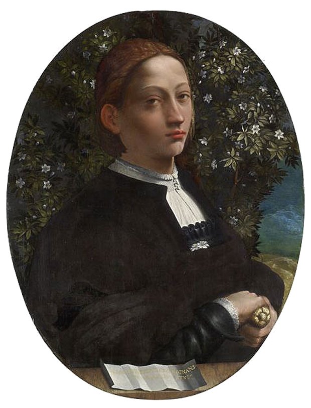 Portrait of a Young Man by Dosso Dossi
