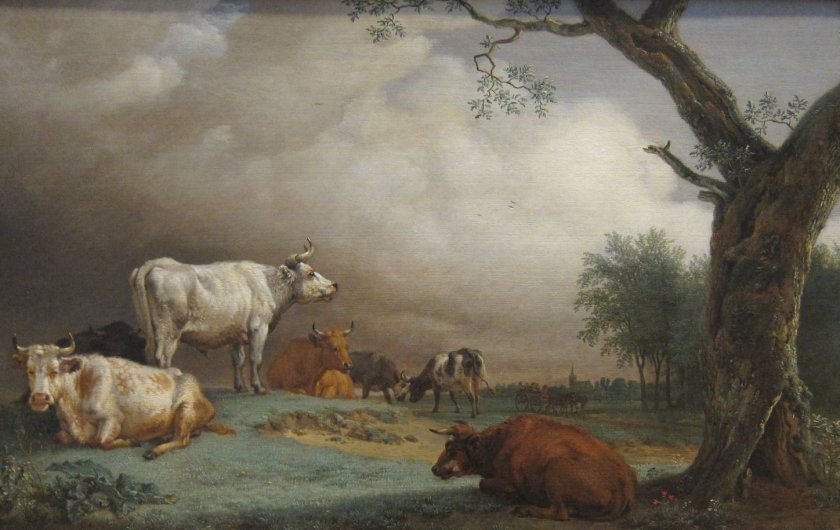 Cattle in a Meadow by Paulus Potter (1652) Oil on wood.
