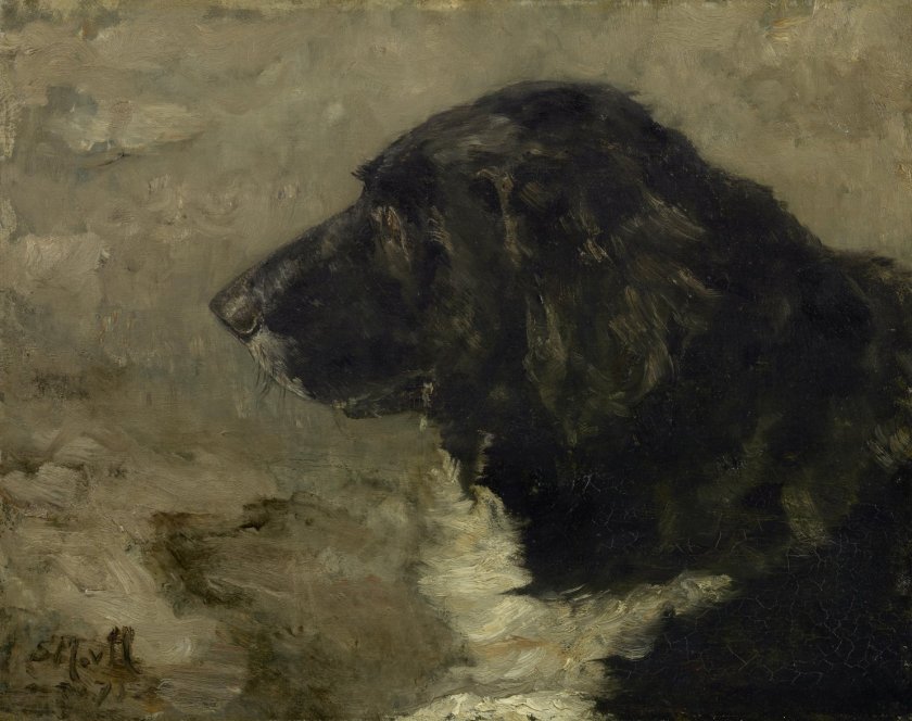 Head of a Dog by Sientje van Houten (1875)
