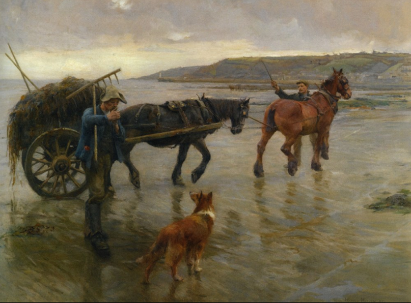The Seaweed Gatherers by Harold Harvey